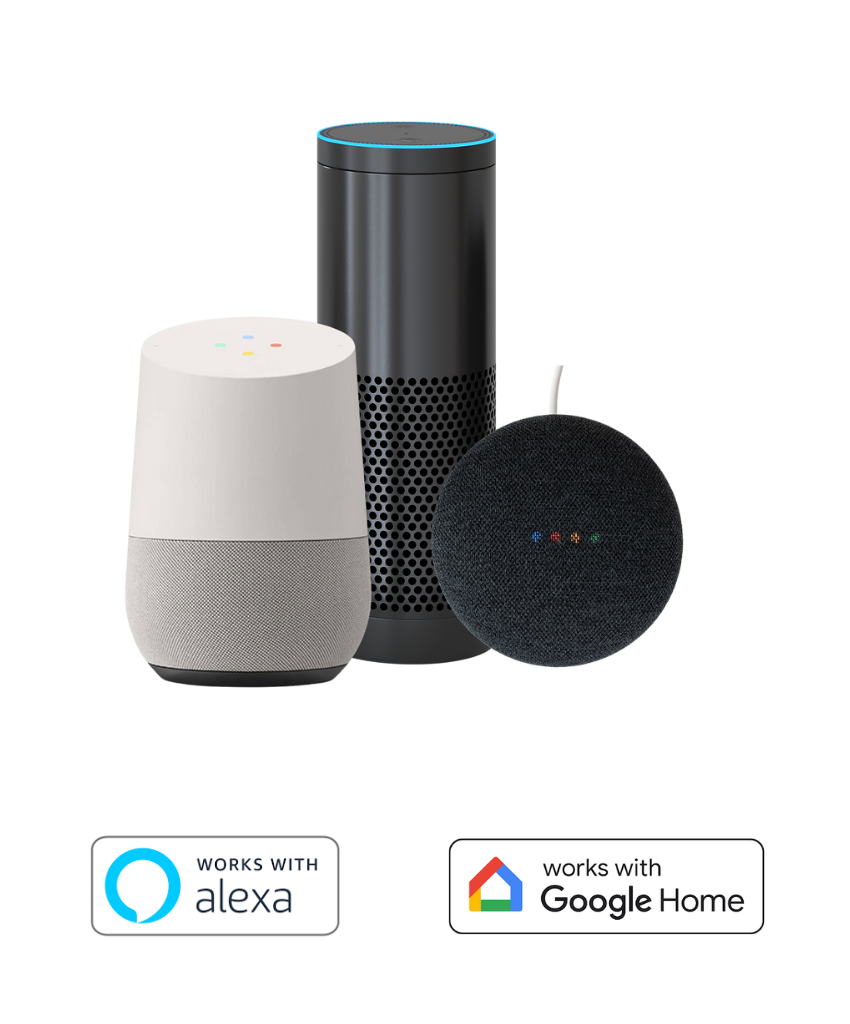 Shantaliving - voice control - alexa, google home